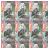 Budgie Stof (Swatch)