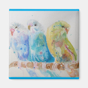 Budgie Waterverfschildering vogel Budgies Aqua Tea Magneet