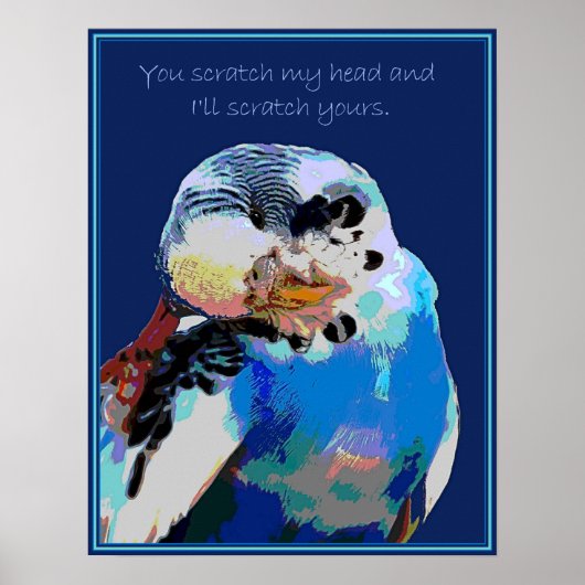 Budgie wil een Scratch Poster (Voorkant)