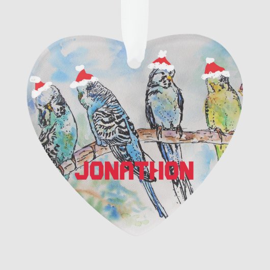 Budgies Budgie kerst Childs Naam Decoratie (voorkant)