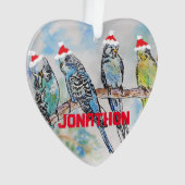 Budgies Budgie kerst Childs Naam Decoratie (voorkant)