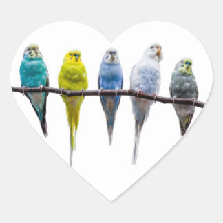 Budgies Hart Sticker