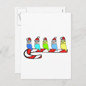 Budgies - Kerstmis Feestdagenkaart (Voorkant / Achterkant)