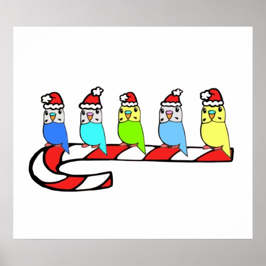 Budgies - Kerstmis Poster (Voorkant)