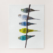 Budgies Legpuzzel (Verticaal)