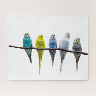 Budgies Legpuzzel