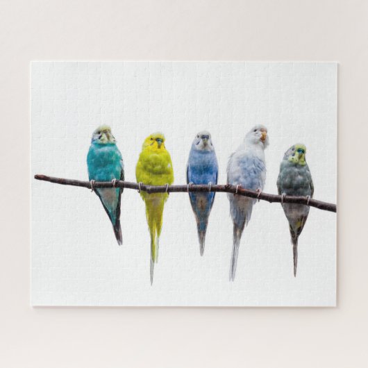 Budgies Legpuzzel (Horizontaal)