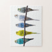 Budgies Legpuzzel (Verticaal)