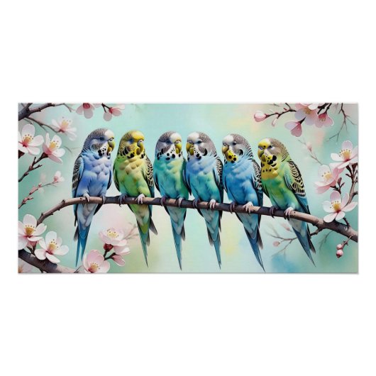 Budgies Perfect Poster (Voorkant)