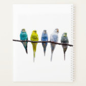 Budgies Planner (Achterkant)