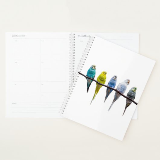 Budgies Planner (Display)