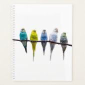 Budgies Planner (Voorkant)