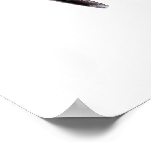 Budgies Poster (Hoek)