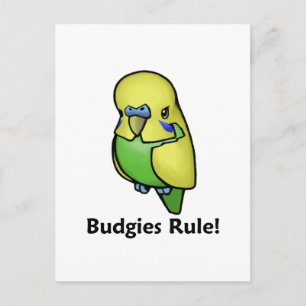 Budgies Rule! Briefkaart