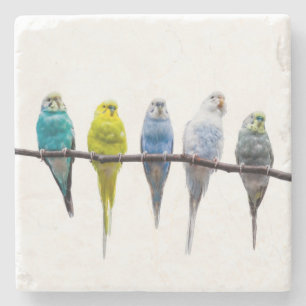 Budgies Stenen Onderzetter