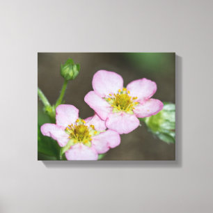 Buds in Early Spring Hondenhout Canvas Afdruk