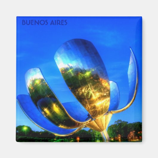 BUENOS AIRES, Argentinië Magneet (Voorkant)