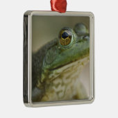 Bufallo National River, Northwest Arkansas Metalen Ornament (Rechts)