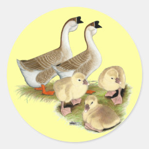 Buff African Goose Family Ronde Sticker