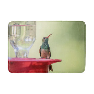 Buff-bellied hummingbird in Texas Badmat