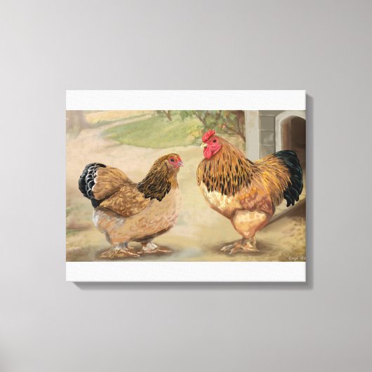 Buff Brahma Rooster en Hen Canvas Afdruk (Voorkant)
