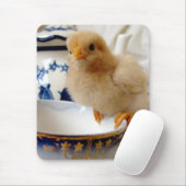 Buff Chick in Tea Muismat (Met muis)