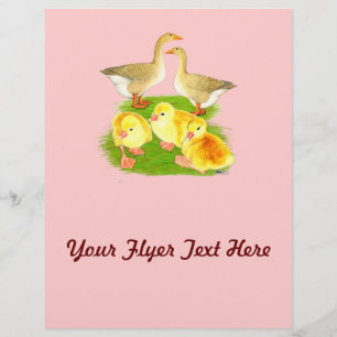 Buff Gans Familie Flyer