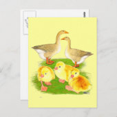 Buff Goose Family Briefkaart (Voorkant / Achterkant)