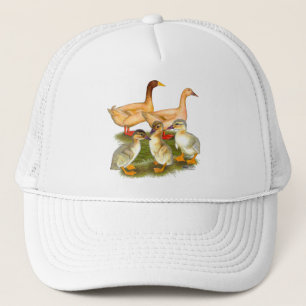 Buff Orpington Eendenfamilie Trucker Pet