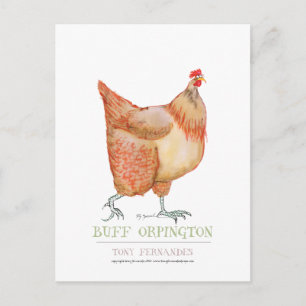 Buff Orpington hen, tony fernandes Briefkaart