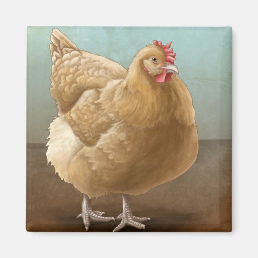 Buff Orpington Magneten (Voorkant)