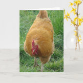 Buff Rooster Kaart (Gele Bloem)