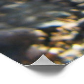 Buff Silkie Chicken Chick Poster (Hoek)