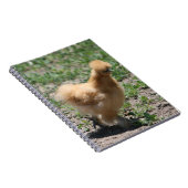 Buff Silkie Chicken-laptop Notitieboek (Rechterzijde)