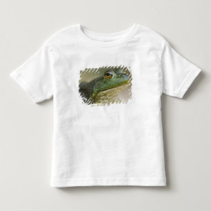 Buffallo National River, Noordwest Arkansas Kinder Shirts