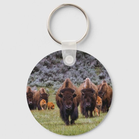 Buffalo 2 sleutelhanger (Voorkant)