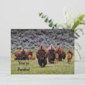 Buffalo 2 uitnodiging op zaterdag (Staand voorkant)