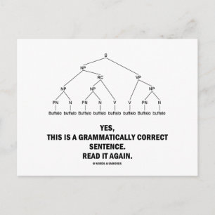 Buffalo (8 maal) Ernstige correctie Briefkaart