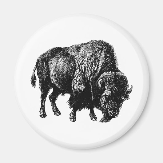 Buffalo American Bison Magnet Magneet (Voorkant)