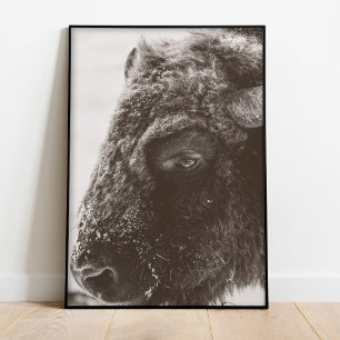 Buffalo Bison afdrukken Poster