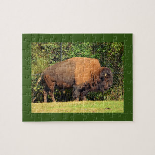Buffalo (Bison) Kansas, Oklahoma, Wyoming Legpuzzel