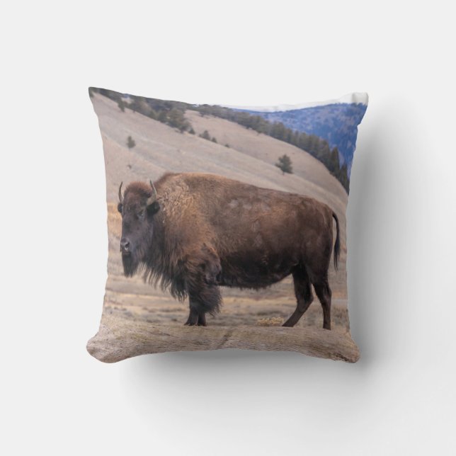 Buffalo Bison Kussen (Voorkant)