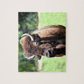 Buffalo (Bison) Legpuzzel (Verticaal)