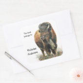 Buffalo Bizon Dier Natuur kunst Custom Bookplate Vierkante Sticker (Envelop)