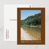 Buffalo Briefkaart (Voorkant / Achterkant)