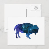 Buffalo Briefkaart (Voorkant / Achterkant)