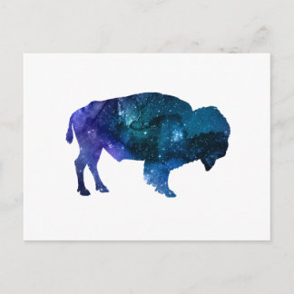 Buffalo Briefkaart