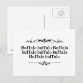 Buffalo Buffalo Sententie Briefkaart (Voorkant / Achterkant)
