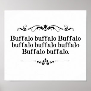 Buffalo Buffalo Sententie Poster