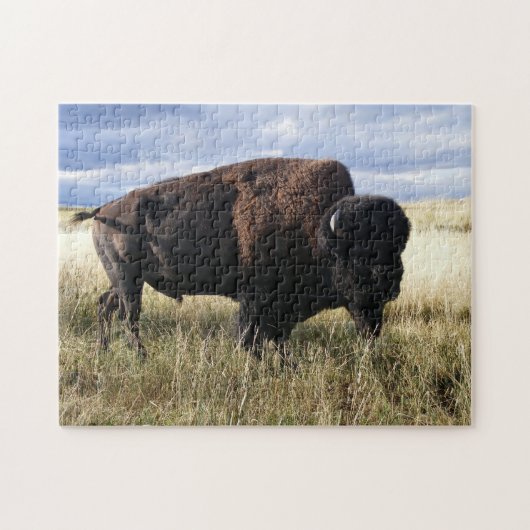 Buffalo Bull Legpuzzel (Horizontaal)
